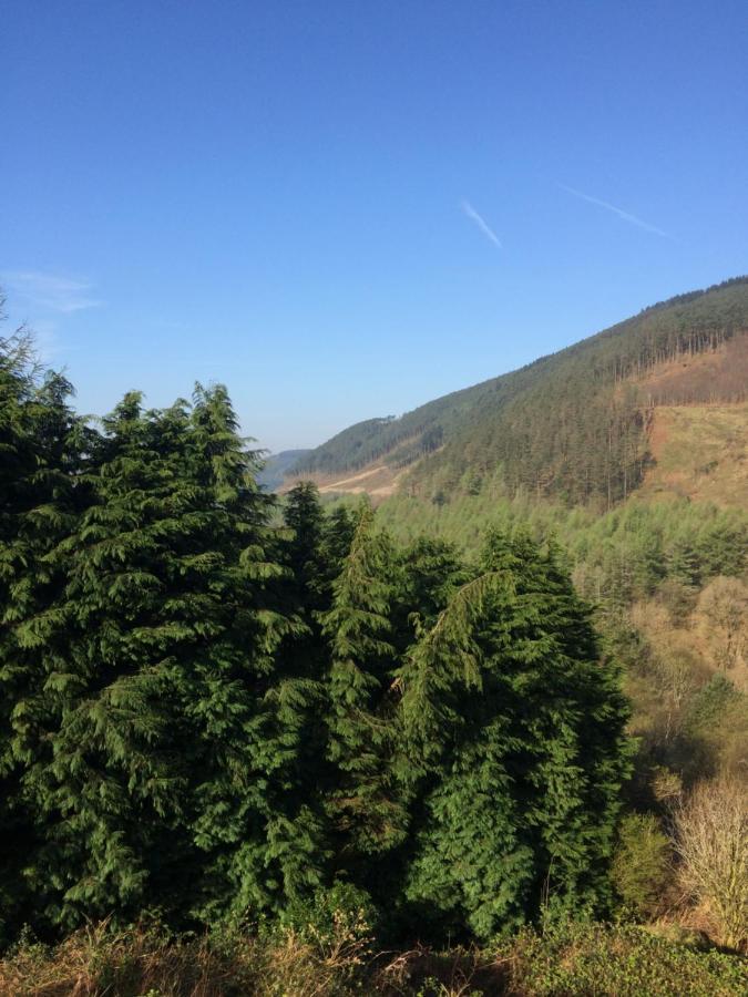 Rowan House Bed Breakfast Main House & Self Contained Self Catering Apartment Cymmer 외부 사진
