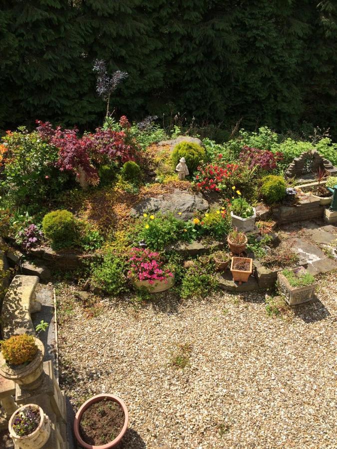 Rowan House Bed Breakfast Main House & Self Contained Self Catering Apartment Cymmer 외부 사진